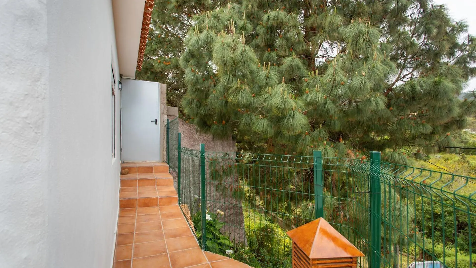 Semesterbostad El Sueno Villa Icod De Los Vinos